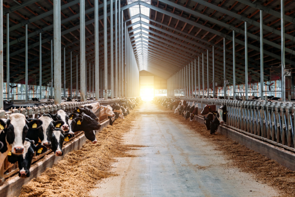 agriculture